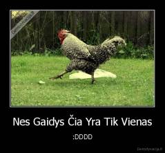 Nes Gaidys Čia Yra Tik Vienas - :DDDD