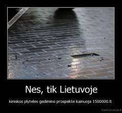 Nes, tik Lietuvoje - kiniskos plyteles gedimino prospekte kainuoja 1500000.lt 