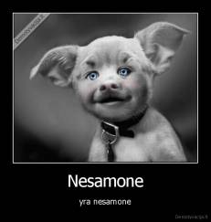 Nesamone - yra nesamone