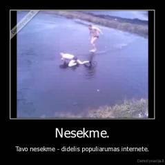 Nesekme. - Tavo nesekme - didelis populiarumas internete.