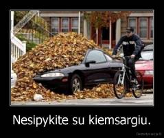 Nesipykite su kiemsargiu. - 