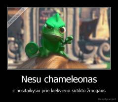 Nesu chameleonas - ir nesitaikysiu prie kiekvieno sutikto žmogaus