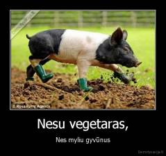 Nesu vegetaras, - Nes myliu gyvūnus