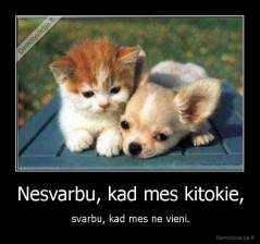 Nesvarbu, kad mes kitokie, - svarbu, kad mes ne vieni.