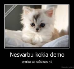 Nesvarbu kokia demo - svarbu su kačiukais <3