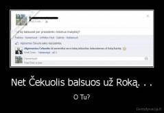 Net Čekuolis balsuos už Roką. . . - O Tu?