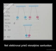 Net elektronai prieš vienalytes santuokas - 