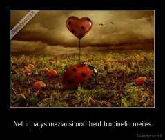 Net ir patys maziausi nori bent trupinelio meiles - 