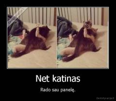 Net katinas - Rado sau panelę.