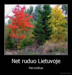 Net ruduo Lietuvoje - Patriotiškas