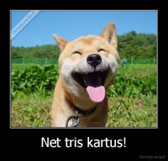 Net tris kartus! - 