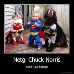 Netgi Chuck Norris - prieš juos bejėgis