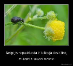 Netgi jis nepasiduoda ir keliauja tikslo link, - tai kodėl tu nuleidi rankas?