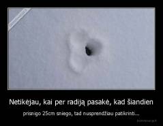 Netikėjau, kai per radiją pasakė, kad šiandien - prisnigo 25cm sniego, tad nusprendžiau patikrinti...