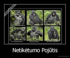 Netikėtumo Pojūtis - 