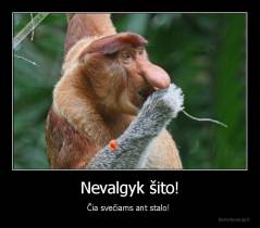 Nevalgyk šito! - Čia svečiams ant stalo! 