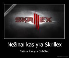 Nežinai kas yra Skrillex - Nežinai kas yra DubStep