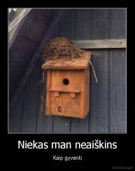 Niekas man neaiškins - Kaip gyventi