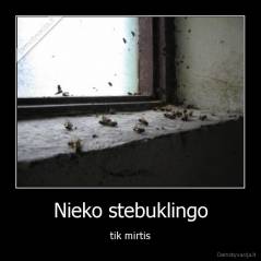 Nieko stebuklingo - tik mirtis