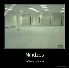 Nindzės - patikėk, jos čia.