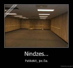 Nindzes... - Patikėkit, jos čia.