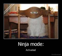 Ninja mode: - Activated