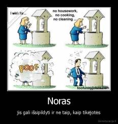 Noras - jis gali išsipildyti ir ne taip, kaip tikėjotės