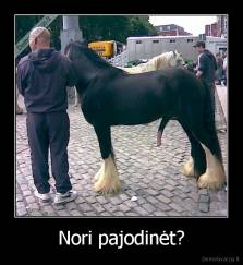 Nori pajodinėt? - 