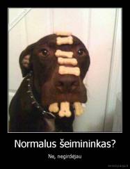 Normalus šeimininkas? - Ne, negirdėjau