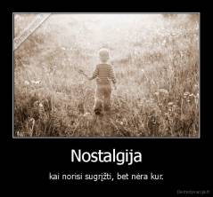 Nostalgija - kai norisi sugrįžti, bet nėra kur.