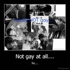 Not gay at all.... - No....