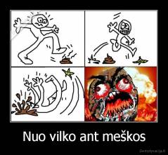 Nuo vilko ant meškos - 