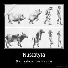 Nustatyta - Iš kur atsirado moteris ir vyras