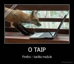 O TAIP - Firefox - karšta mažulė