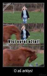 O aš arklys! - 