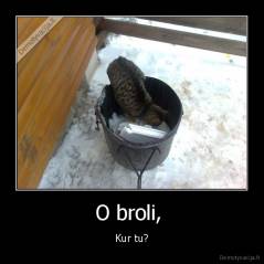 O broli,  - Kur tu?