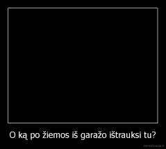 O ką po žiemos iš garažo ištrauksi tu? - 