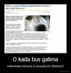 O kada bus galima - neišauklėtą kaimyną iš daugiabučio išbalsuot?