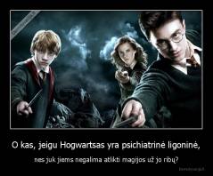 O kas, jeigu Hogwartsas yra psichiatrinė ligoninė, - nes juk jiems negalima atlikti magijos už jo ribų?
