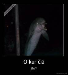 O kur čia - jūra?