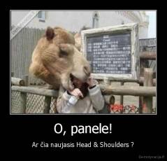 O, panele! - Ar čia naujasis Head & Shoulders ?