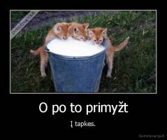 O po to primyžt - Į tapkes.