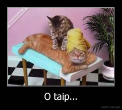 O taip... - 