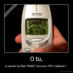 O tu, - ar pameni kai šitas "SNAKE" buvo tavo TOP-1 žaidimas ? 