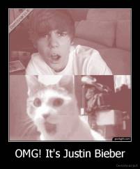 OMG! It's Justin Bieber - 