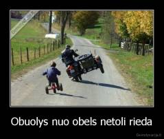 Obuolys nuo obels netoli rieda - 