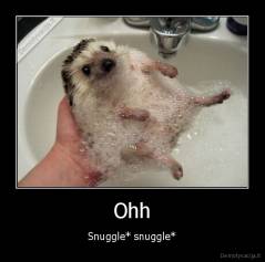 Ohh - Snuggle* snuggle*