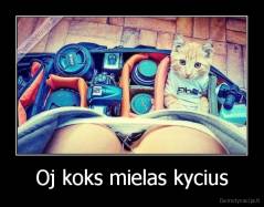 Oj koks mielas kycius - 