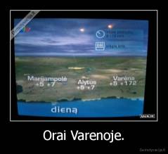 Orai Varenoje. - 