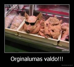 Orginalumas valdo!!! - 